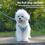 Savlot Reflektierendes Hundegeschirr für kleine & mittelgroße Hunde, Sicherheitsgeschirr mit Step-in Design für Nachtspaziergänge, Y-Form & Haarschonend (XS-L, Blau)