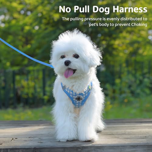 Savlot Reflektierendes Hundegeschirr für kleine & mittelgroße Hunde, Sicherheitsgeschirr mit Step-in Design für Nachtspaziergänge, Y-Form & Haarschonend (XS-L, Blau)