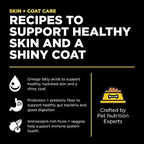Go! Solutions Skin + Coat Care - Dry Dog Food, 25 Lb - Duck Recipe With Grains For All Life Stages - Complete + Balanced Nutrition For Dogs #TOP1