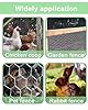 Vensovo Galvanized Chicken Wire Roll 13.7" x 157" - 0.8" Hexagonal Chicken Wire Mesh for Garden Fence, Rabbit Fence, Chicken Coop, Floral Arrangements & DIY Crafts #4