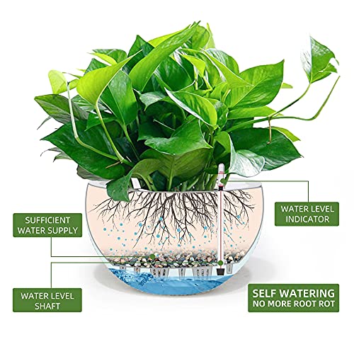 Dexceder 13.5 Inch Large Self Watering Hanging Planters Indoor Outdoor, Thickened Hanging Basket Flower Plant Pot With Water Level Indicator (White) #TOP1