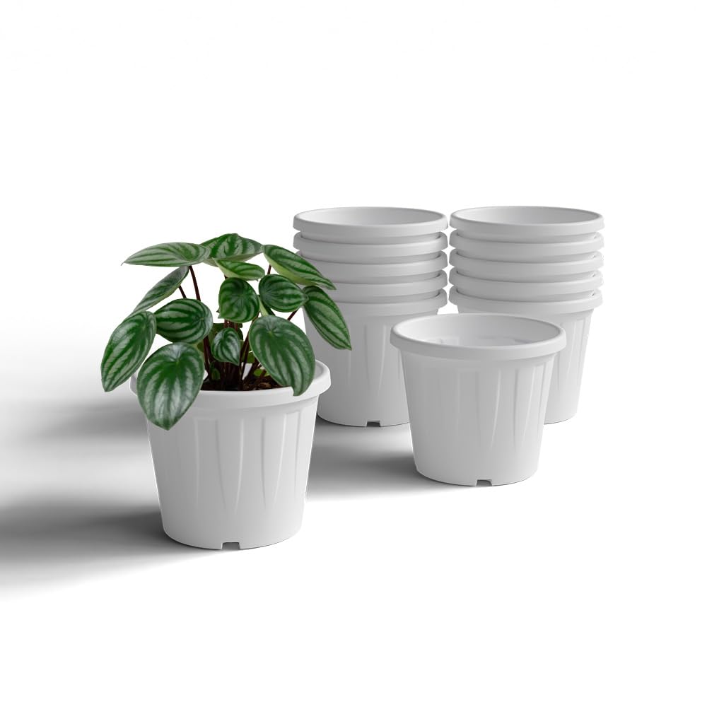 YUCCABE ITALIA 6 Pack White Nursery Planters -13