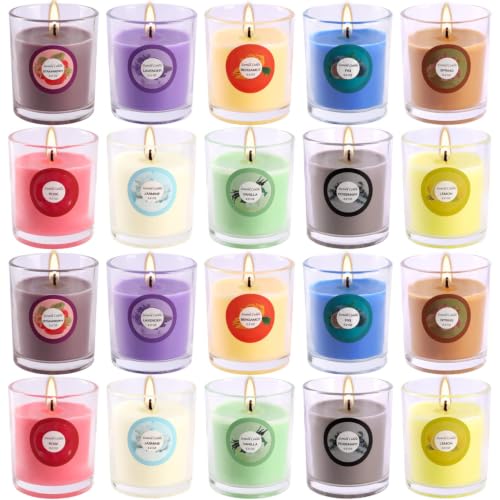 20 Pack Scented Soy Wax Candles with 10 Fragrances
