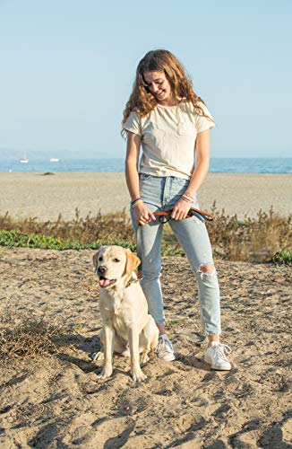 Tally Puppy Breathe Engraved Braided Bracelet Inspirational Bracelets Encouragement Gifts For Women Mantra Bracelets Women Thinking Of You Gifts For Women Meaningful Gifts Adjustable Bracelet (Aqua) #TOP4