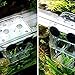 Xoeryoy Fish Breeding Box Aquarium Incubator Fry Hatchery Isolation Box Fish Parenting Container Divider with Suction Cups Double La