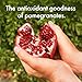 POM Wonderful Antioxidant Super Tea, Pomegranate Lemonade Tea, 12 Ounce