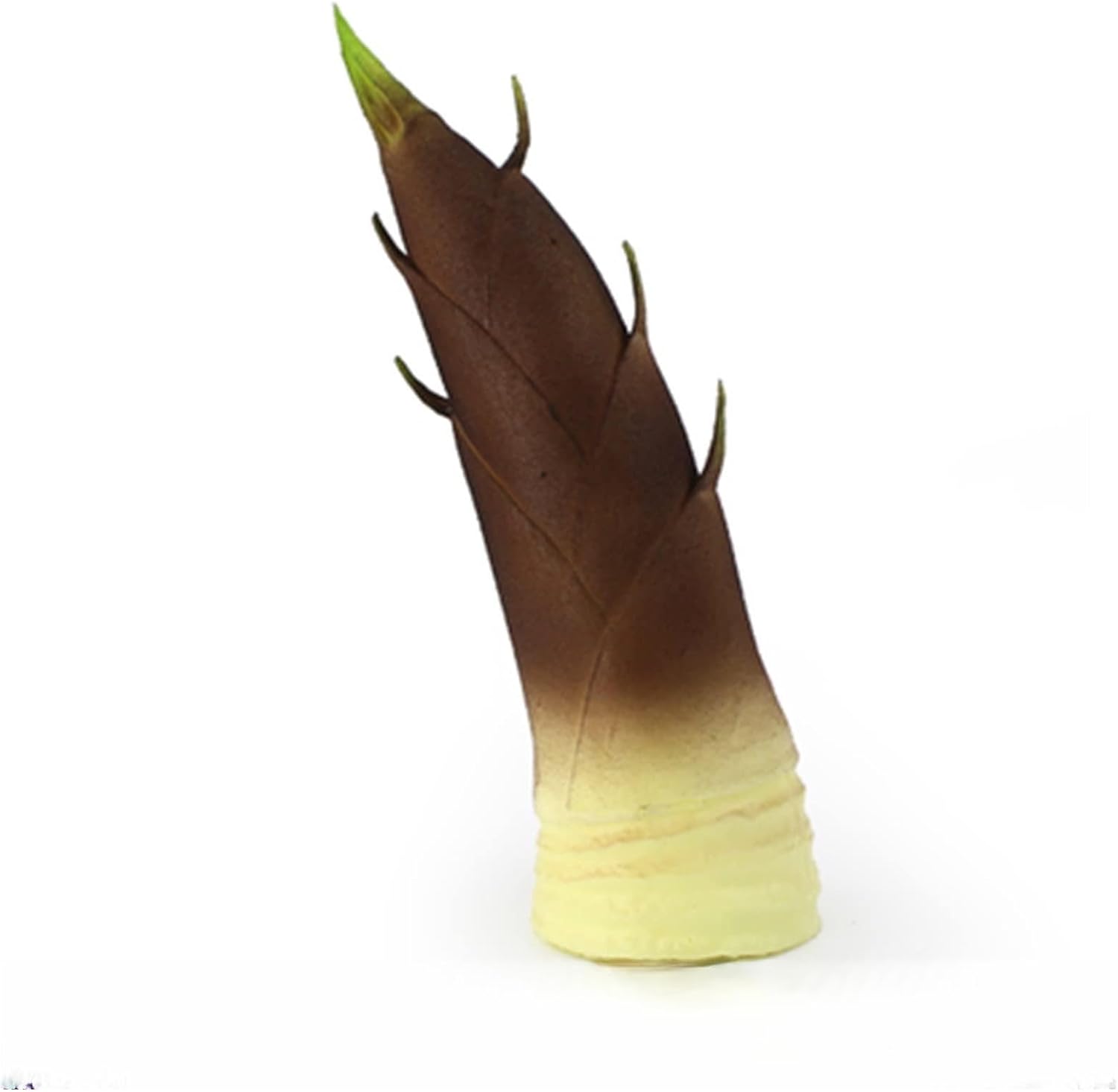 yaoqijie Imitation Bamboo Shoots The Shoot of Mao Bamboo Model/Fake Winter Bamboo Shoots, Bamboo Shoots, Vegetable Decorations Lasting (Color : 01)