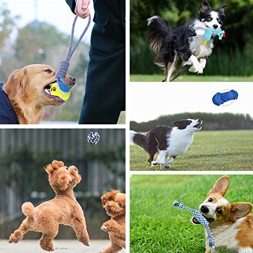最安値 犬おもちゃ 音 6セット ロープ結び目 ぬいぐるみ 小型犬 ストレス解消 運動不足 ペットおもちゃ 猫おもちゃ 噛むおもちゃ フリスビー 鹿 おもちゃセット の価格比較