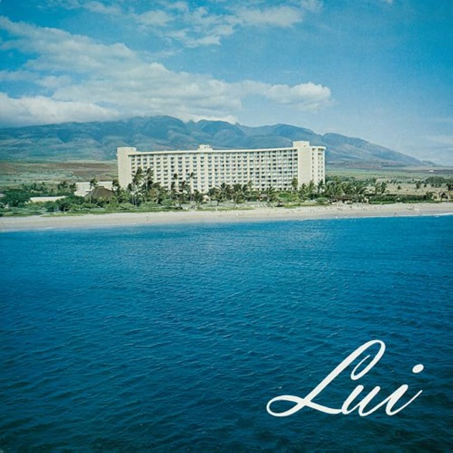 ☆ レア・希少 ☆ LP レコード　ハワイ　HOLIDAY IN HAWAII CD I Love Hawaii - メルカリ