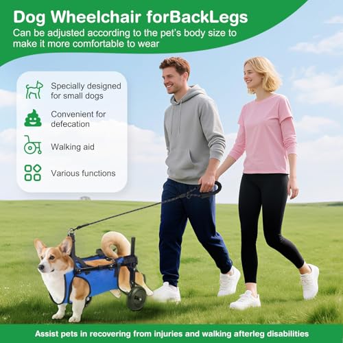 Verstellbarer Hunde-Rollstuhl Für Kleine Haustiere, Faltbare Hinterbeinstütze Mit Rädern, Größe M, Mobilitätshilfe Für Gelähmte Hinterbeine (M)