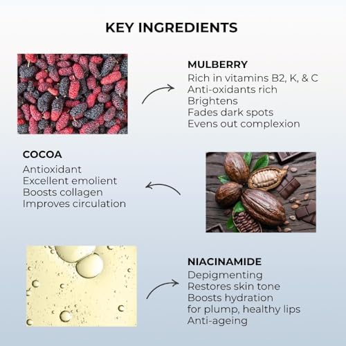 Image of Depigmenting Night Lip Balm| Unisex Lip Balm| With Goodness of Niacinamide, Mulberry, & Cocoa| 3-in-1 lip balm as it Moisturises, Hydrates and gives a pluming effect| 10gms