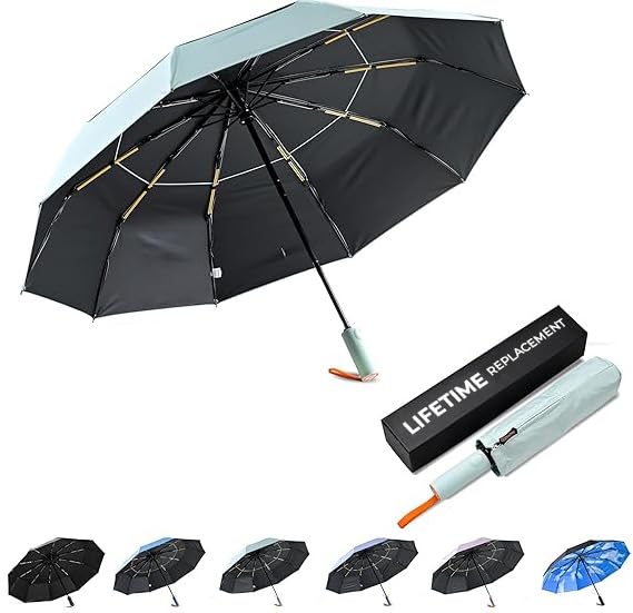 DryDay Travel Umbrellas for Rain - Large Windproof Double Canopy Umbrella, 10 Durable Ribs, Strong Frame, Auto Open Close Ergonomic Handle, Compact