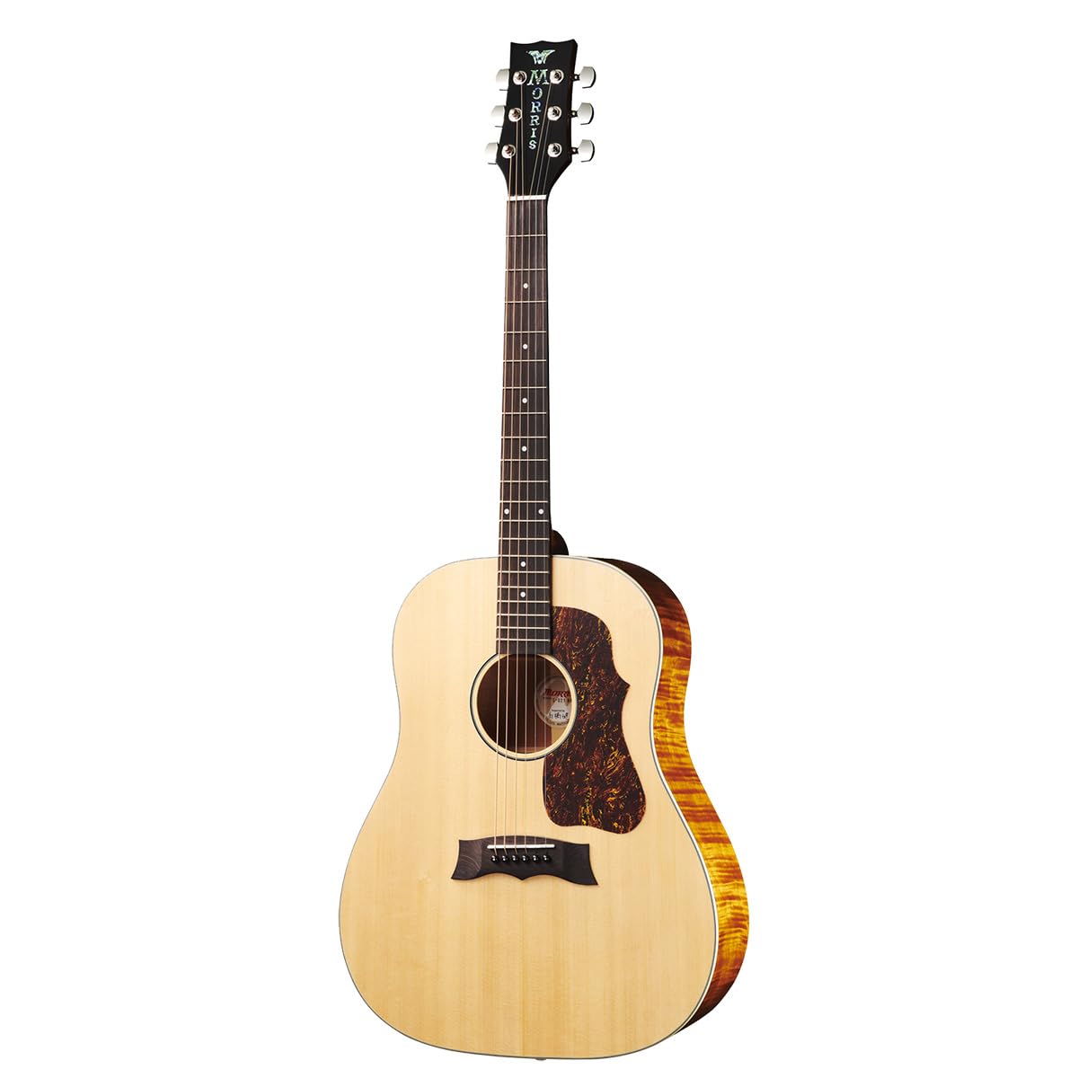 Amazon.co.jp: MORRIS G-021E NAT エレクトリックアコースティック 