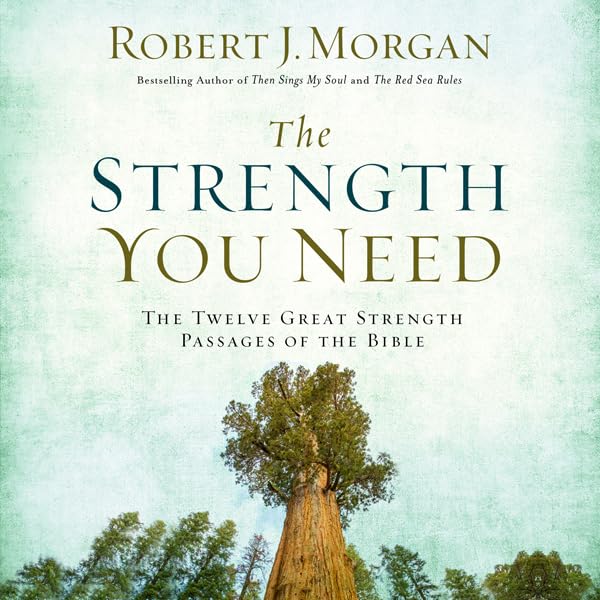 Cover art for The Strength You Need