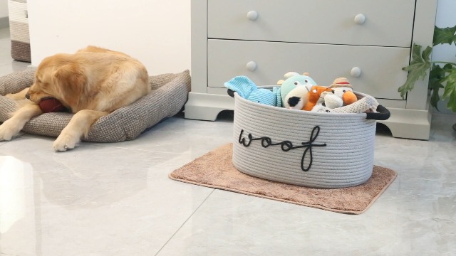 Amazon.com: CIKI HOME small basket : Pet Supplies