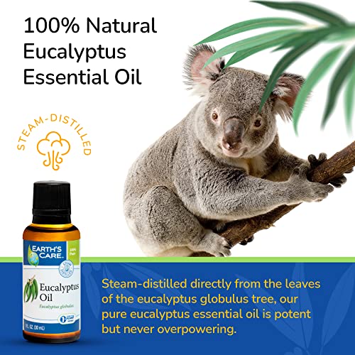 Aceite Esencial de Eucalipto 100% Natural 1 Fl Oz Pack miniatura 4