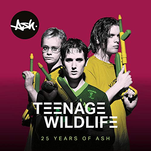 Teenage Wildlife - 25 Years of Ash [VINYL]