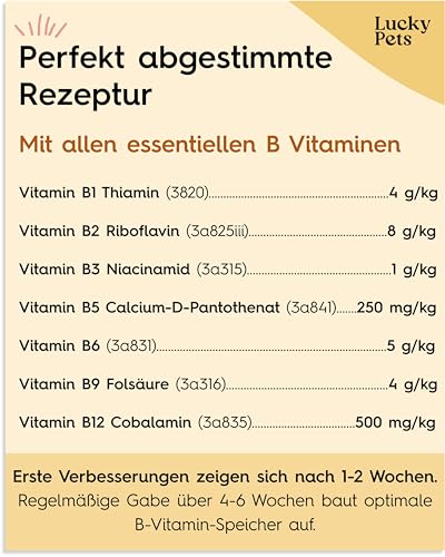 Vitamin B-Komplex Hund 140 Tabletten I Alle 7 B-Vitamine, Starke Nerven & Immunsystem, hochdosiert, Deutscher Hersteller I hohe Akzeptanz I Lucky Pets