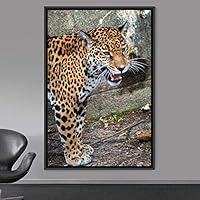 Framed Canvas Wall Art Leopard Animals Cheetah Dramatic Living Room Multicolor Photography - 16x24 inches