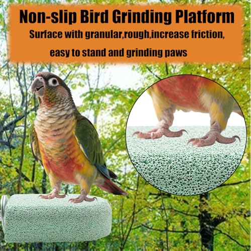 Image of Pet Teeth Grinding Stone and Perch, Bird Perch Stands, Natural Chewing Toys for Small Medium Birds Budgies Conures Cockatiels Rats (4 Colores, Small)