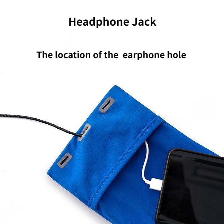 ALTALIVA Universal Sweatproof Cell Phone Sports Armband Phone Holder with Earphone Holes for Running Workout Walking Hiking Biking Fitness (Blue,M)