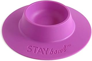 STAYBOC - Cuenco ergonómico para Mascotas (tamaño pequeño, 1/4 Tazas), Color Lila