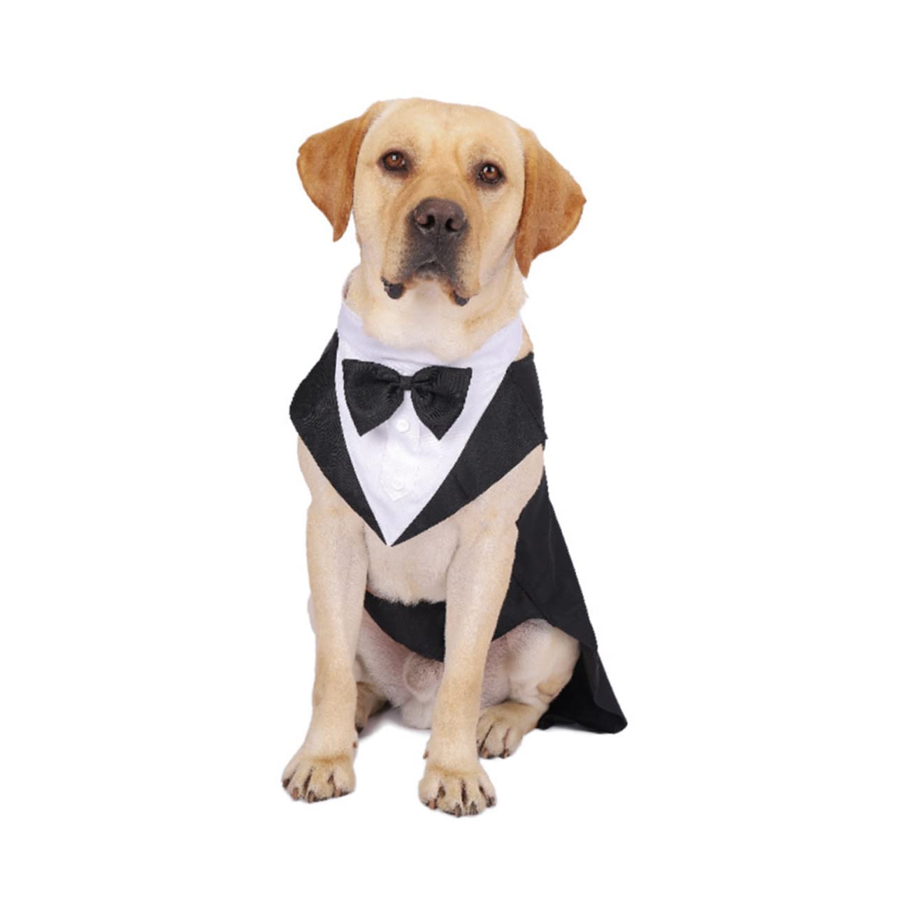 INOOMP 3 Pezzi Di Vestiti Per Cani Da Matrimonio Per Animali Domestici Con Bottoni Umanizzati