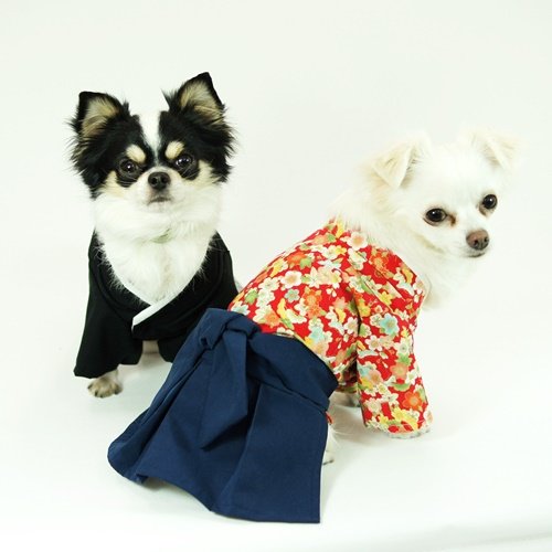 Amazon.co.jp: 犬服工房 袴 イタグレ&ウィペット IS&ISM&IM : ペット用品