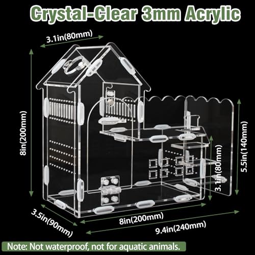 Image of Magnetic Acrylic Terrarium for Jumping Spiders & Small Pets - Easy-Access Front Opening, Feeding Hole, Ideal for Reptiles, Tarantulas, Hermit Crabs & More