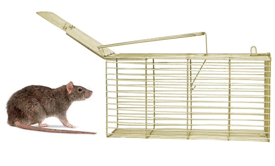 See full amazon price history chart for Large Rat Rodent/Mouse Trap, Iron Catcher, Extra Large Jumbo Ultimate Rat Catcher Cage, 30 x 15 x 15 cm Large Rat Rodent/Mouse Trap, Iron Catcher, Extra Large Jumbo Ultimate Rat Catcher Cage, 30 x 15 x 15 cm (B0DHKTCVC1) Amazon Price History, Amazon Price Tracker