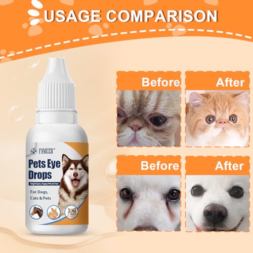 Jadeseal 30ml Augentropfen für Hunde & Katzen, Augenpflege & Augenreiniger,Befeuchtende Tropfen für die Augen von Pet, Augentropfen Katze Besonders Mild