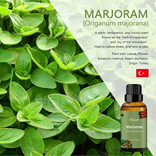 Marjoram Essential Oil, ESSLUX Aromatherapy Oils for Diffuser, Massage, Soap, Candle Making, Perfume - 30ML
