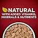 Purina ONE High Protein Wet Dog Food True Instinct Tender Cuts in Dog Food Gravy With Real Beef and Wild-Caught Salmon - (Pack of 12) 13 oz. Cans