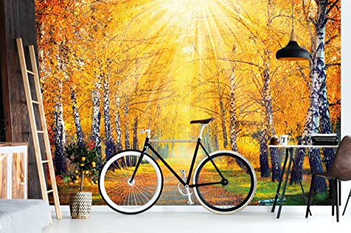 Large Photo Wallpaper – Golden Autumn – Picture Decoration Birch Forest Nature Landscape Tree Avenue Sun Seasons Park Forest Image Decor Wall Mural (132.3x93.7in - 336x238cm)
