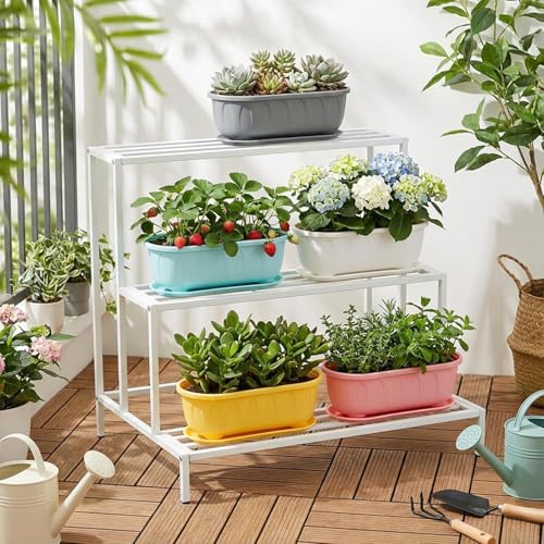 Image of StyleX Store Plastic Rectangle Round Corner Flower Pots with Drainage Hole Saucers Durable Outdoor Indoor Planters with Tray Plant Containers for Balcony, Garden, Home & Office (Set of 5 White)