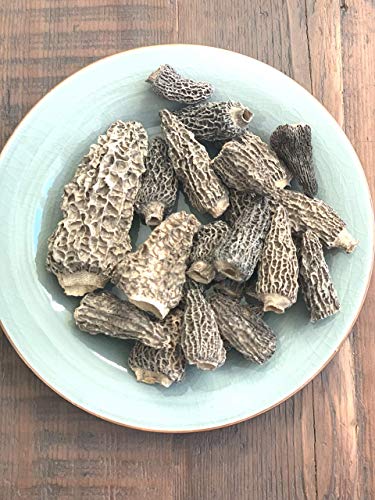 Premium Wild Dried Canadian Morel Mushrooms By Golden Tea Leaf Co - 2 oz. / 57g