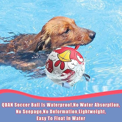 QDAN 2 Pack Dog Toys Soccer Ball, Durable Dog Balls with Straps for Small & Medium Dogs, Dog Birthday Toy, Dog Tug of War Toy, Dog Gifts Dog Present Cover