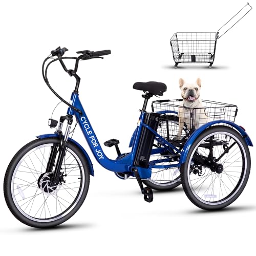 24″ Electric Trike，Electric Tricycle for Adults, 350W(Peak