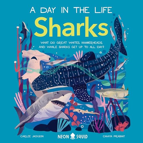 A Day in the Life: Sharks by Carlee Jackson, Neon Squid episode artwork