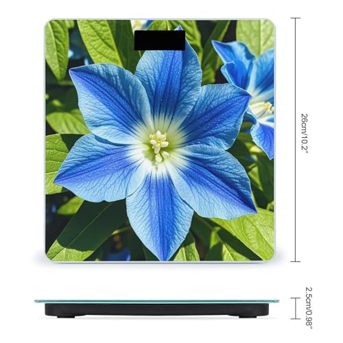 Báscula digital de baño Blue Flowers vidrio templado miniatura 2