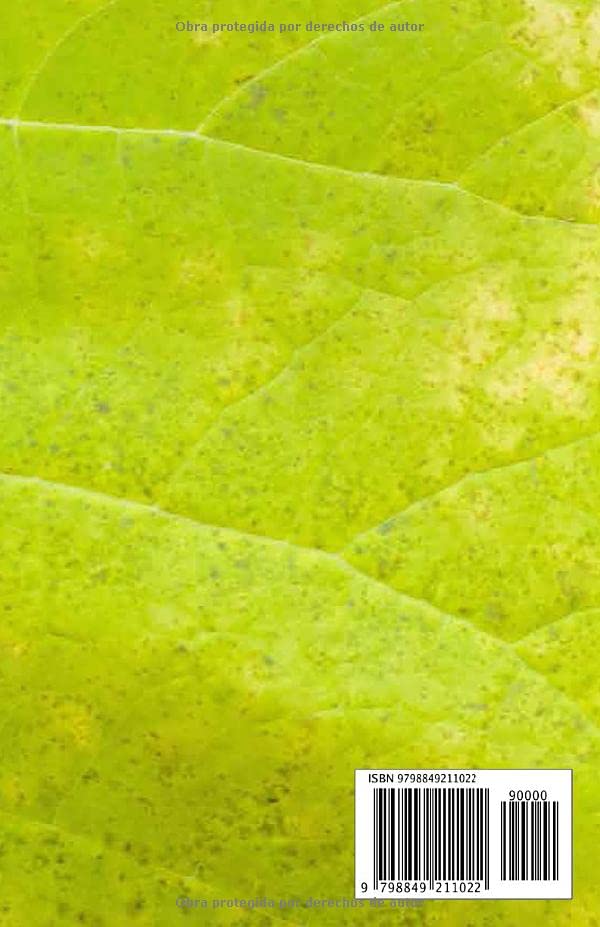 Miniatura 2 de El ángel de los ojos verdes (Spanish Edition)