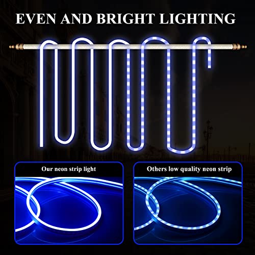 Hotran Neon Led Strip Light, 16.4Ft Blue 12V Neon Rope Light, Waterproof Flex Cuttable Silicone Strip Light For Indoor Outdoor Decoration (Power Adapter No Included) #TOP1