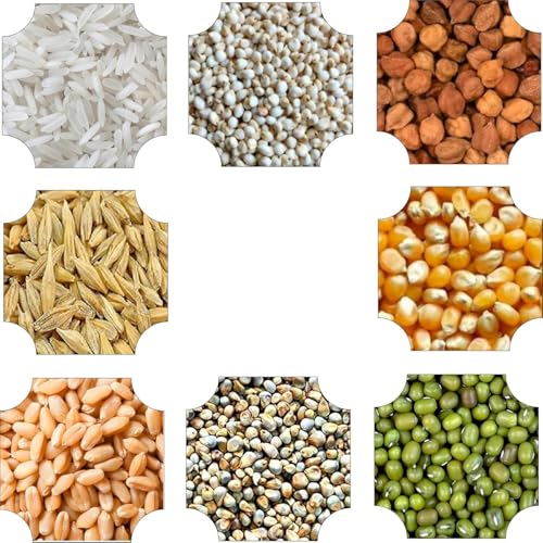 Image of Seven Assorted Grains - 350g (50g Each) | 7 Dhan | Dhaan | sapt dhany for Pooja (सप्त धान्य / 7 धान)