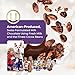 Madelaine Chocolate Solid Premium Milk Chocolate 2025 Advent Calendar Book - 24 Assorted Premium Milk Holiday-Themed Treats
