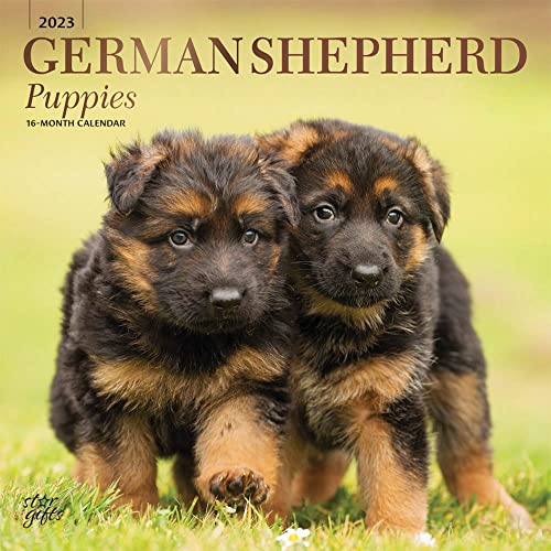 What Temp Is Too Cold For German Shepherds