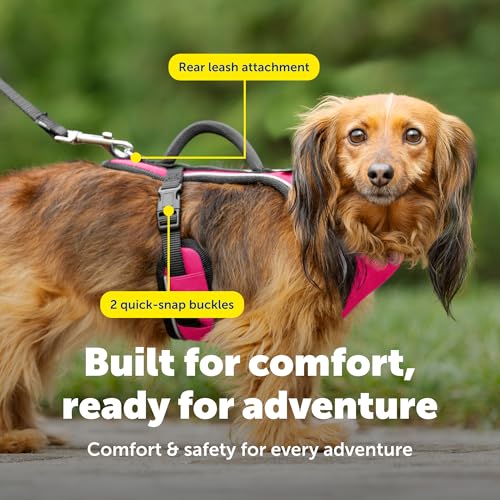 Image of PetSafe EasySport Dog Harness, Adjustable Padded Dog Harness with Control Handle and Reflective Piping, from the Makers of the Easy Walk Harness