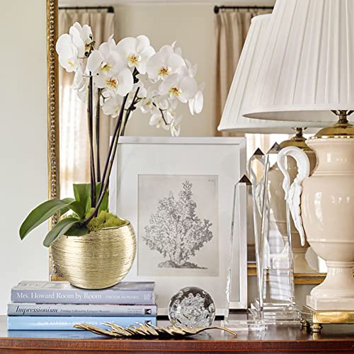 Oairse 4.5" 5.5" Gold Planters For Indoor Plants Set Of 2 Gold Plant Pots Small Flowerpot Ceramic Houseplant Planters Succulents Pots For Orchids Snake Plants #TOP2