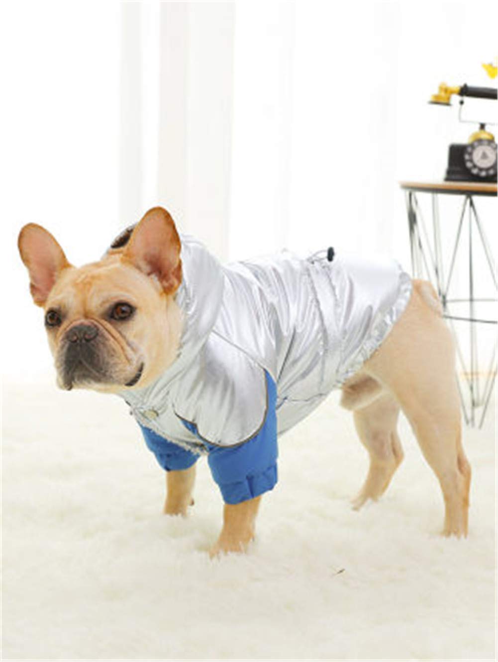 Vêtements pour animaux automne hiver contre les frissons des petits chiens