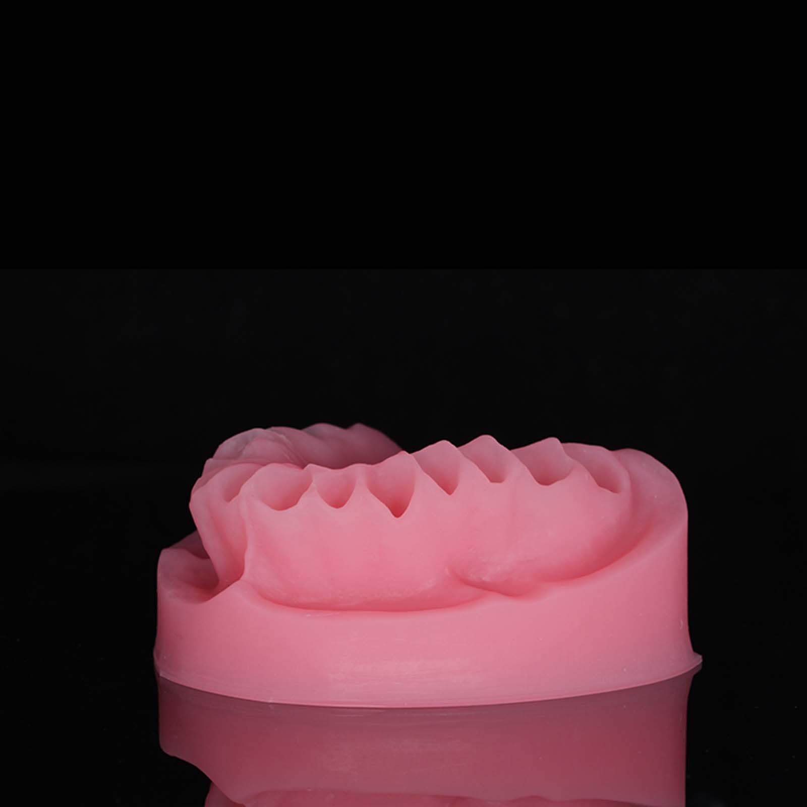 Modello espositivo per Protesi Dentarie Manichino Dentale Modello didattico per odontoiatria Orale Stampi per odontoiatria Orale,B