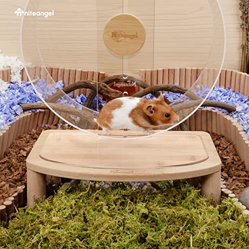 Niteangel Anti-Slide Hamster Wheel Platform - Fits For Niteangel Super-Silent Hamster Wheel | Acrylic Wheel | Wooden Wheel | Cloud Series Hamster Wheel (Medium) #TOP2